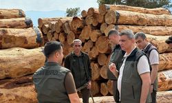 Bölge Müdürü Ataş Mut’ta İncelemelerde Bulundu