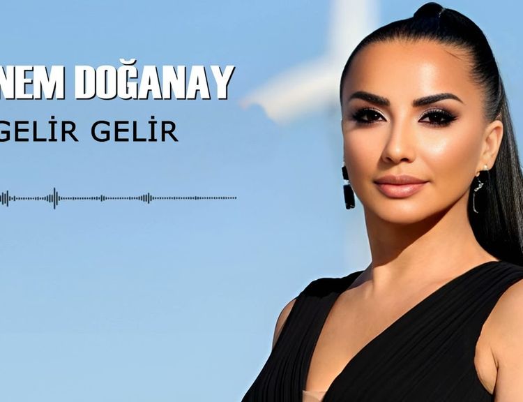 Gelir Gelir