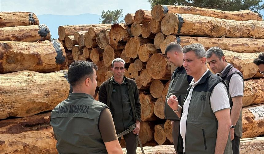 Bölge Müdürü Ataş Mut’ta İncelemelerde Bulundu